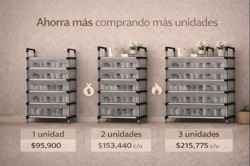 Zapatero 6 niveles Con Cubierta Antipolvo Shoes-Box